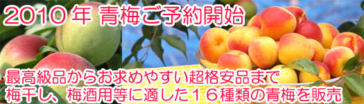 �썂�~�̎Y��