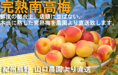 �~�E���n�썂�~�E�~�����p