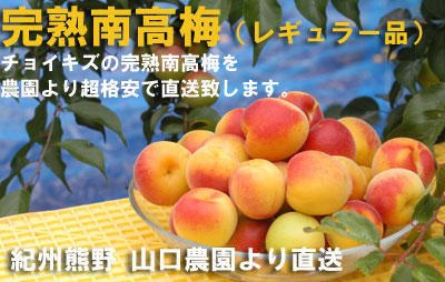 ���n�썂�~(���M�����[�i�j�E�~�����p