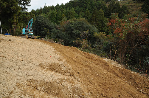 手入れ 梅干・南高梅栽培　南高梅の山口農園
