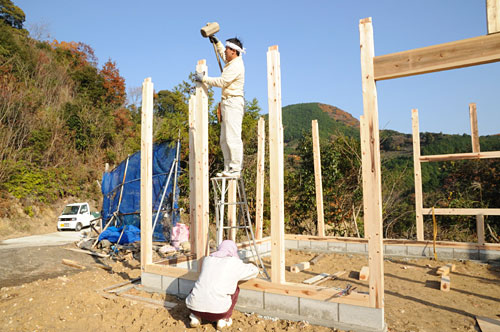 木製だけど 梅干・南高梅栽培　南高梅の山口農園