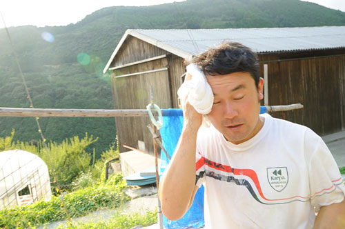 水仕事といっても 梅干・南高梅栽培　南高梅の山口農園