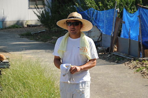 半袖 梅干・南高梅栽培　南高梅の山口農園