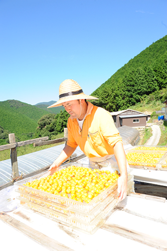 ���ʂ� �~�L��2015 �~���E�썂�~�͔|�@�썂�~�̎R���_��