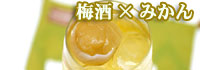 梅酒×みかん
