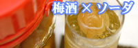 梅酒×ソーダ