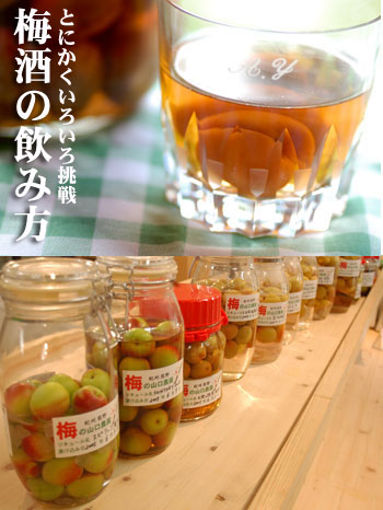 梅酒の飲み方