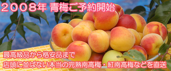 �썂�~�̎Y��