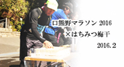 口熊野マラソン2016×山口農園のはちみつ梅干 2016年２月