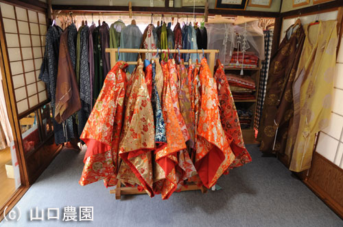 平安衣装体験