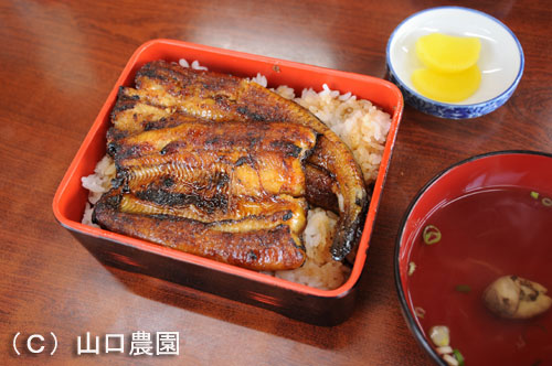 ���肩��Ƃӂ�ӂ�