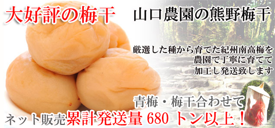�R���_���̔~���@�e���葵���Ă���܂��B